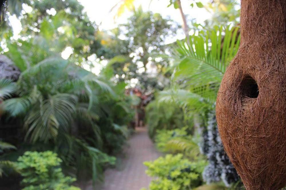 The Palm Trees Resort Patnem Beach Exteriér fotografie